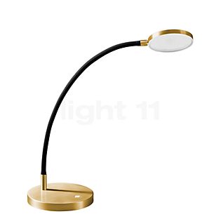Holtkötter Flex T Lampe de table LED laiton/noir