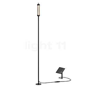 IP44.DE Reed Zonlicht LED zwart - 150 cm