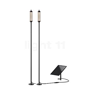 IP44.de Reed Solar Join Lumière solaire LED - lot de 2 noir - 150 cm - câble 10 m