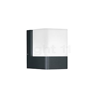 Ledvance Endura Pro Cube Wandleuchte LED Smart+ dunkelgrau, 1-flammig , Lagerverkauf, Neuware