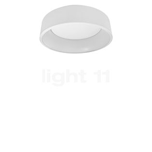 Ledvance Orbis Cylinder, lámpara de techo LED Smart+ blanco