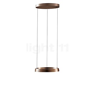 Light Point Edge Round, lámpara de suspensión LED oro rosa - 50 cm