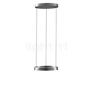 Light Point Edge Round, lámpara de suspensión LED titanio - 50 cm