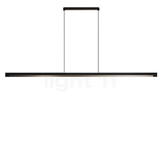 Light Point Inlay Linear Pendelleuchte LED schwarz/gold - 190 cm