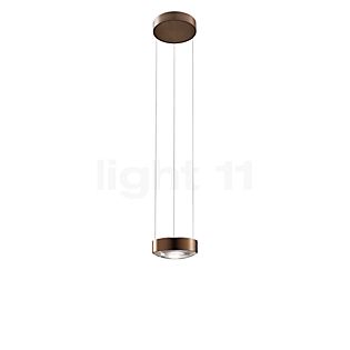 Light Point Orbit Suspension LED or rose