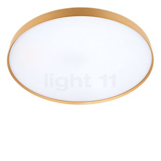 Luceplan Compendium Plate Parete/Soffitto LED brass