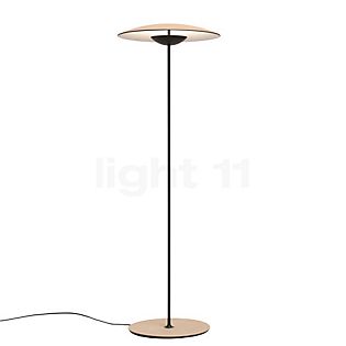 Marset Ginger Floor lamp LED oak
