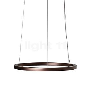 Mawa Berliner Ring Hanglamp LED Downlight ring brons/plafondkapje brons - ø60 cm/7,6 cm - downlight - fasedimmer - 42 W