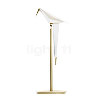 Moooi Perch Light Table LED brass