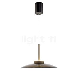 Neuhaus PURE® by Paul Neuhaus E-Moon Suspension LED bronze - 50 cm