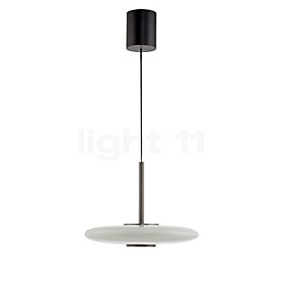 Neuhaus PURE® by Paul Neuhaus E-Vitrum Hanglamp LED bruin