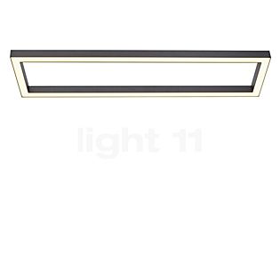 Neuhaus PURE® by Paul Neuhaus Lines Square Deckenleuchte LED anthrazit - 110 x 30 cm