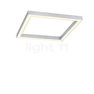 Neuhaus PURE® by Paul Neuhaus Lines Square Deckenleuchte LED silber - 55 x 55 cm