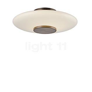 Neuhaus PURE® by Paul Neuhaus Vitrum Plafond- en Wandlamp LED bruin