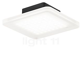 Nimbus Cubic Connect Ceiling Light LED with Housing - black - 24 cm - incl. ballasts