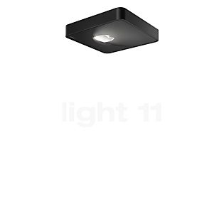 Nimbus Q One Ceiling Light LED incl. converter black
