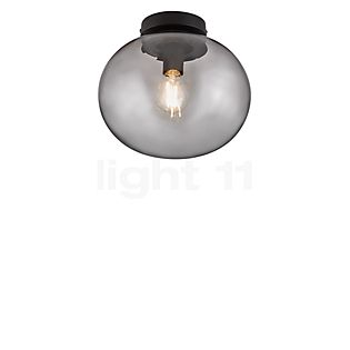 Nordlux Alton, lámpara de techo vidrio ahumado , Venta de almacén, nuevo, embalaje original