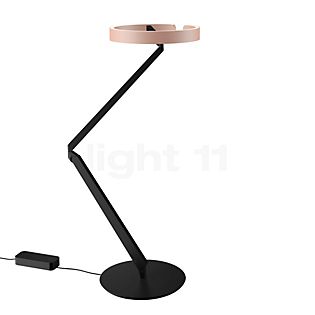 Occhio Gioia Equilibrio Desk Lamp LED head gold matt/body black matt