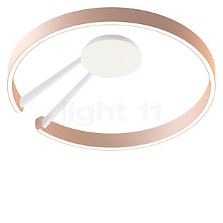 Occhio Mito Aura 60 Lusso Narrow Applique/Plafonnier LED tête doré mat/corps blanc mat/couverture ascot cuir blanc - DALI