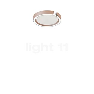 Occhio Mito Soffitto 20 Up Lusso Narrow Loft-/Væglampe LED hoved guld mat/afdækning ascot læder hvid - Occhio Air