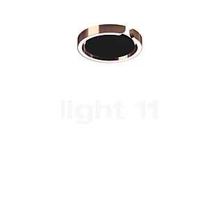 Occhio Mito Soffitto 20 Up Lusso Narrow Wand- und Deckenleuchte LED Kopf roségold/Abdeckung Ascot Leder schwarz - Occhio Air