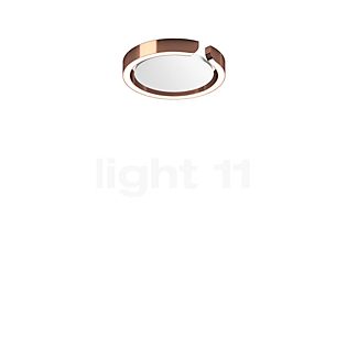 Occhio Mito Soffitto 20 Up Wide Wand- und Deckenleuchte LED Kopf roségold/Abdeckung weiß matt - Occhio Air