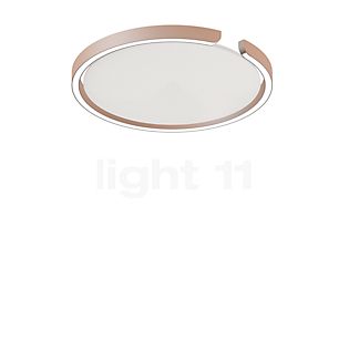 Occhio Mito Soffitto 40 Up Lusso Narrow Wall-/Ceiling light LED head gold matt/cover ascot leather white - DALI