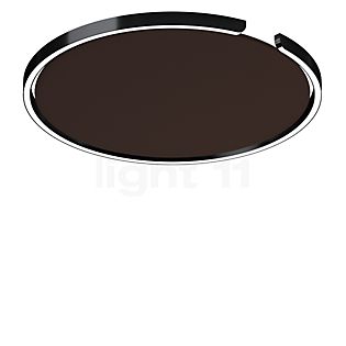 Occhio Mito Soffitto 60 Up Lusso Narrow Wall-/Ceiling light LED head black phantom/cover ascot leather brown - DALI