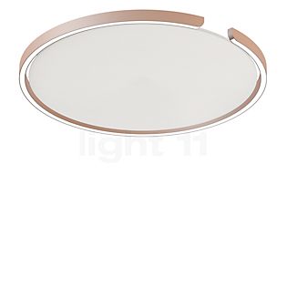 Occhio Mito Soffitto 60 Up Lusso Narrow Wall-/Ceiling light LED head gold matt/cover ascot leather white - Occhio Air