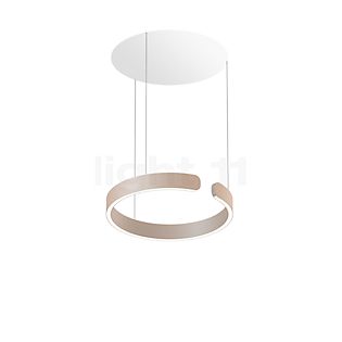 Occhio Mito Sospeso 40 Fix Up Table Pendant Light LED head gold matt/ceiling rose white matt - DALI