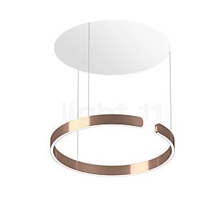 Occhio Mito Sospeso 60 Fix Up Table Hanglamp LED kop rose goud/plafondkapje wit mat - DALI