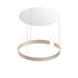 Occhio Mito Sospeso 60 Fix Up Table Lampada a sospensione LED testa dorato opaco/rosone bianco opaco - DALI