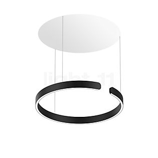 Occhio Mito Sospeso 60 Fix Up Table Lampada a sospensione LED testa nero opaco/rosone bianco opaco - DALI