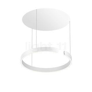 Occhio Mito Sospeso 60 Fix Up Table Pendant Light LED head white matt/ceiling rose white matt - DALI