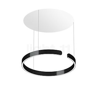 Occhio Mito Sospeso 60 Variabel Up Table Pendant Light LED head black phantom/ceiling rose white matt - DALI