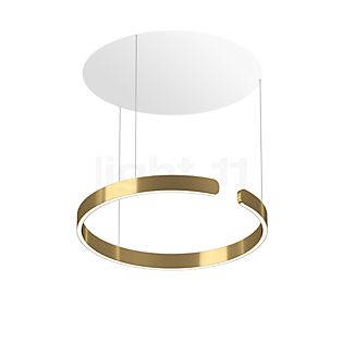 Occhio Mito Sospeso 60 Variabel Up Table Pendelleuchte LED Kopf bronze/Baldachin weiß matt