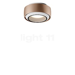 Occhio Più R Alto V Volt C100 Ceiling Light LED head gold matt/ceiling rose white matt/cover white matt - 3,000 K