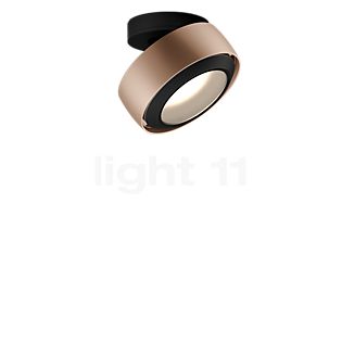 Occhio Più R Alto Volt C100 Lampada da soffitto LED testa dorato opaco/rosone nero opaco/copertura nero opaco - 3.000 K