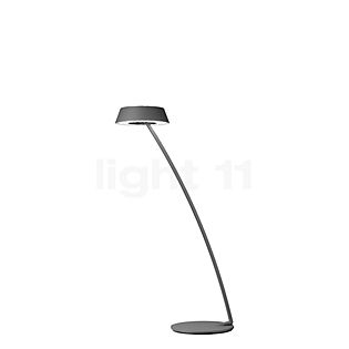 Oligo Glance Lampe de table LED courbé gris mat