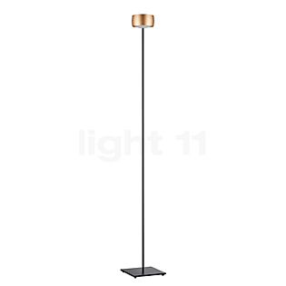 Oligo Grace Lampadaire LED doré