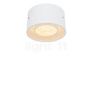 Oligo Trofeo Ceiling Light LED white matt