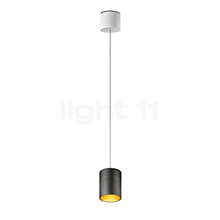 Oligo Tudor Pendant Light LED - invisibly height adjustable black/gold - 14 cm