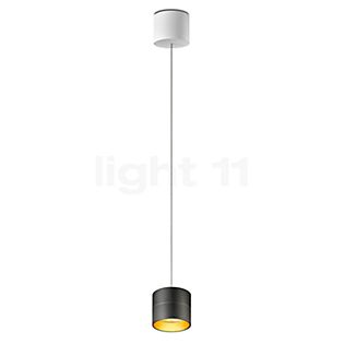 Oligo Tudor Pendant Light LED - invisibly height adjustable black/gold - 9,5 cm