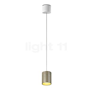 Oligo Tudor Pendelleuchte LED - unsichtbar höhenverstellbar Baldachin weiß matt/Kopf champagner - 14 cm , Auslaufartikel