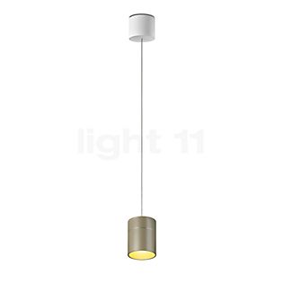 Oligo Tudor, lámpara de suspensión LED - altura ajustable de forma invisible champán - 14 cm