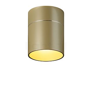 Oligo Tudor, lámpara de techo LED champán - 14 cm