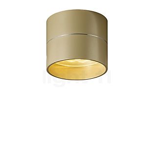 Oligo Tudor, lámpara de techo LED champán - 9,5 cm