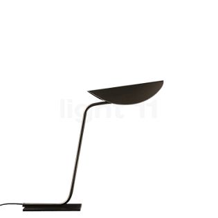 Oluce Plume Lampe de Table bronze