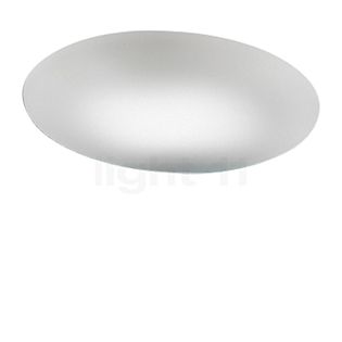 Panzeri Disco Wall/Ceiling light LED ø50 cm