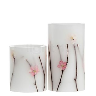 Pauleen Shiny Blossom LED Bougie blanc/fleurs - lot de 2 , Vente d'entrepôt, neuf, emballage d'origine